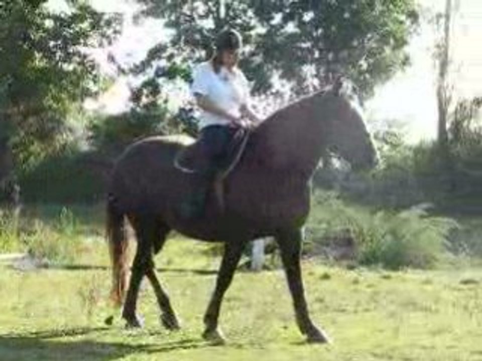 Lazzy septembre 2009