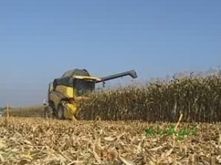 Moisson maïs 2008