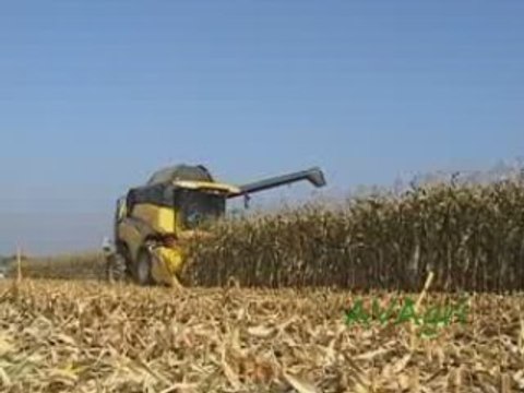 Moisson maïs 2008