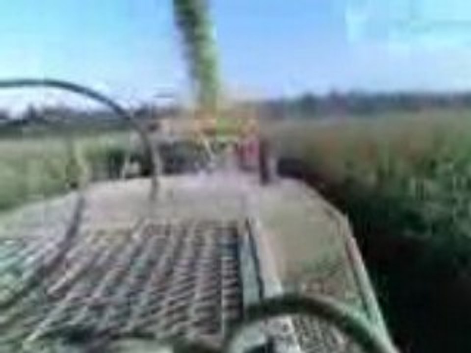 ensilages dordogne 2008