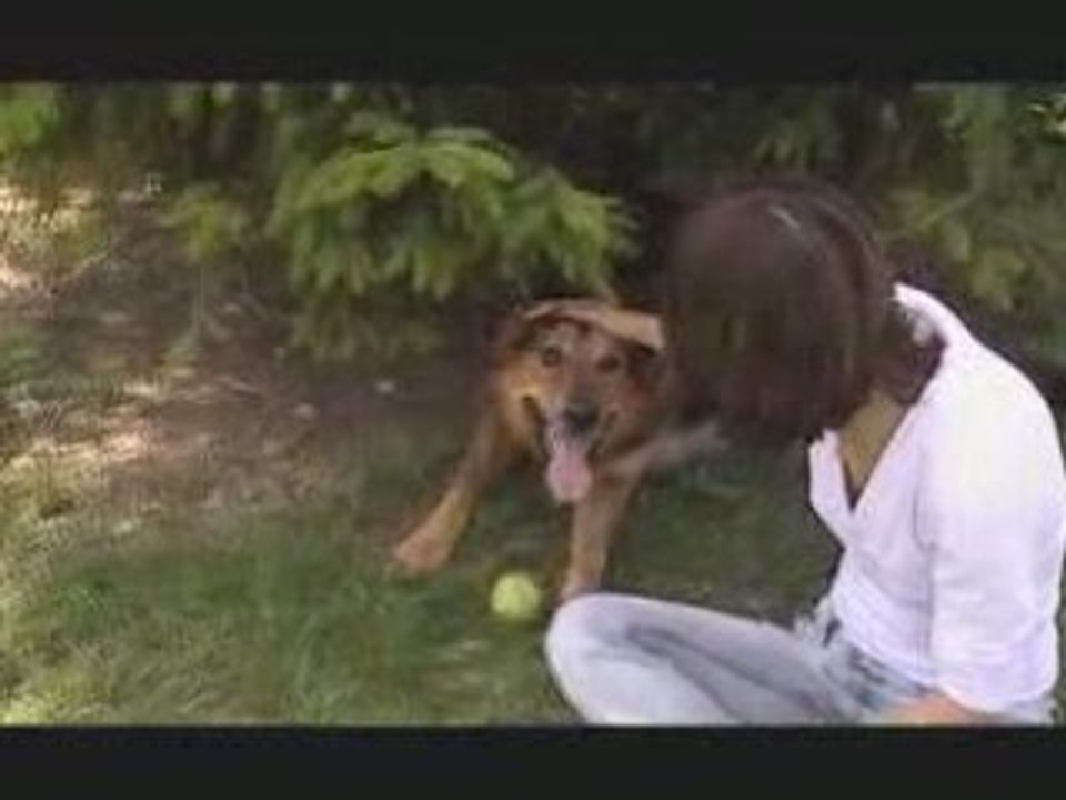 Jazzy et ses potes 2