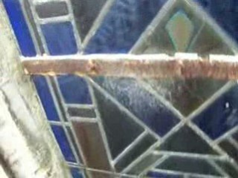 Photo 024