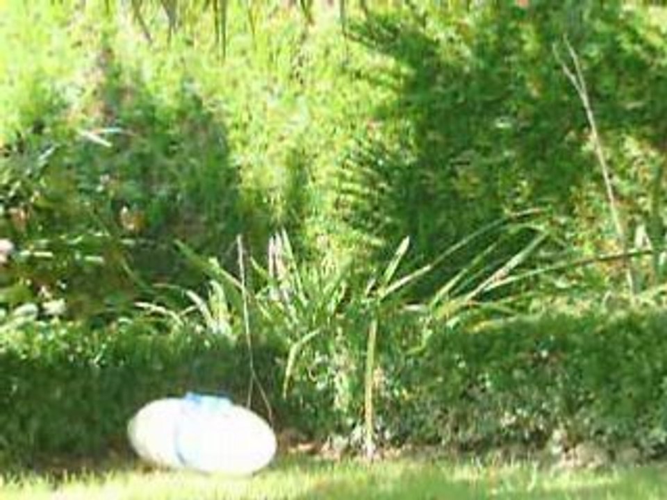 résistance d'une bouteille de FANTA !