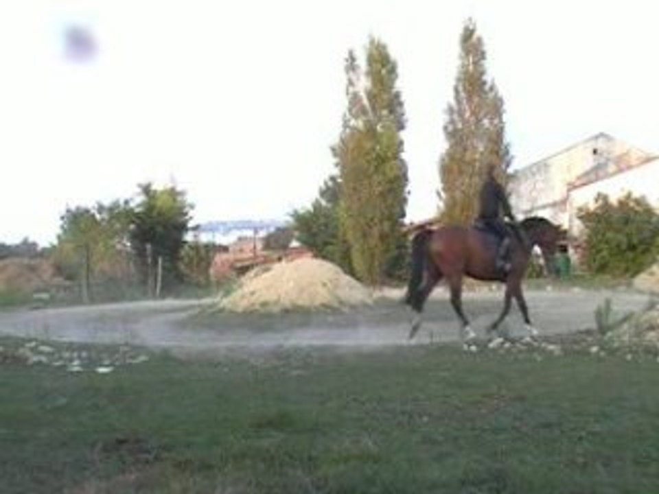 Lo_25-09-08