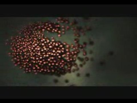 Madonna - Confessions Tour Screen - Forbidden Love