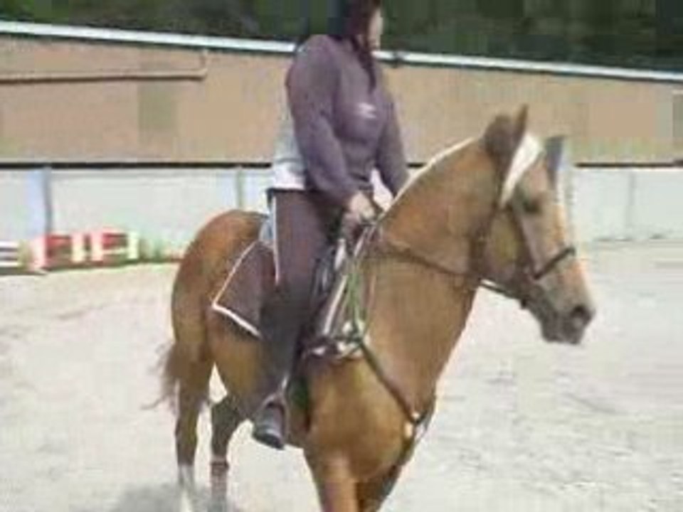 E4 Lisiere Keops Jenny