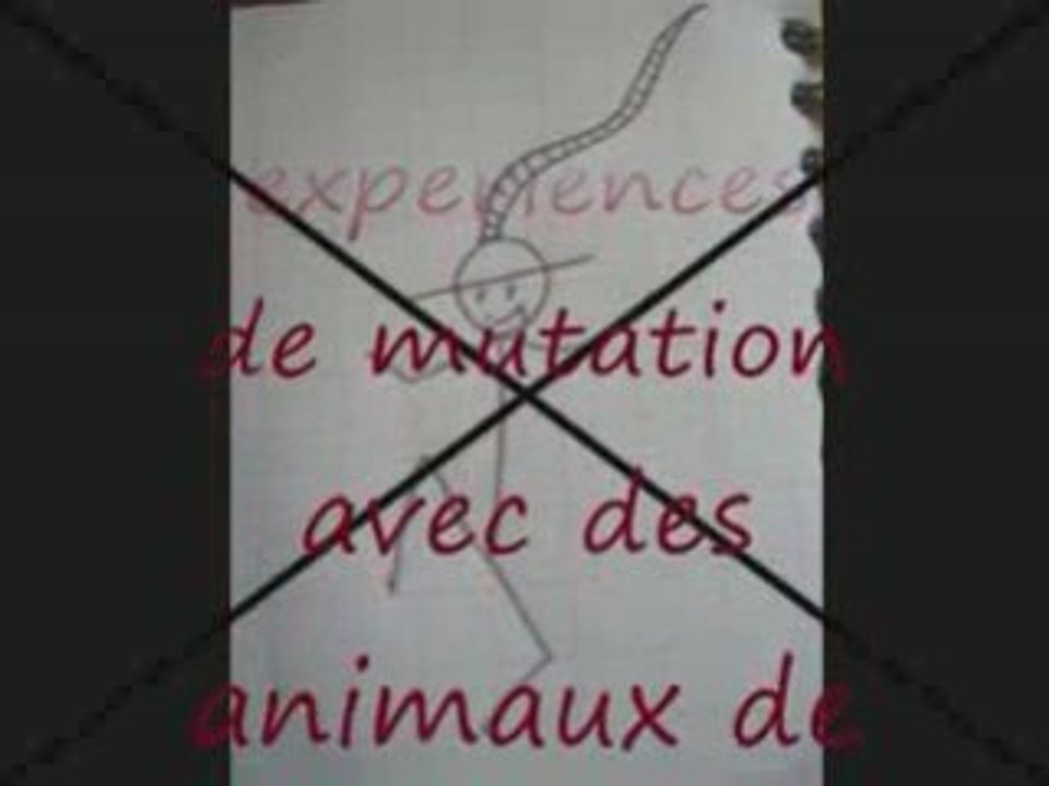 stickman_délir de la nuit