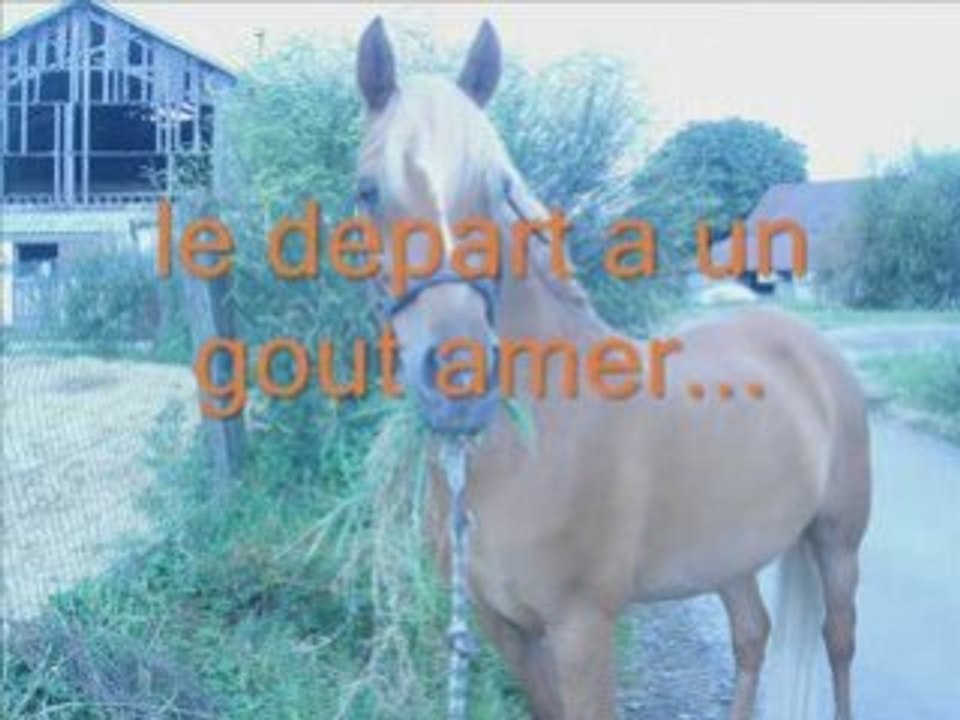 Glou montage fini