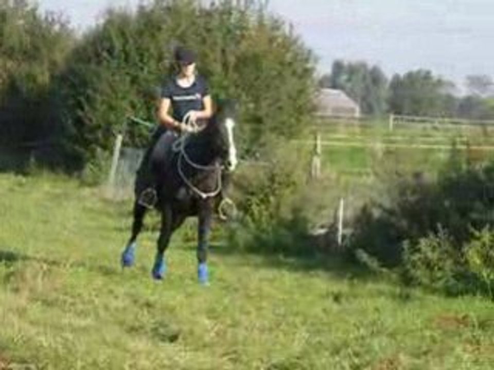 Fiona 27/09/08 Cross licol