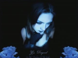 Saras Park Marcos Manzanedo Hier kommt die Nacht