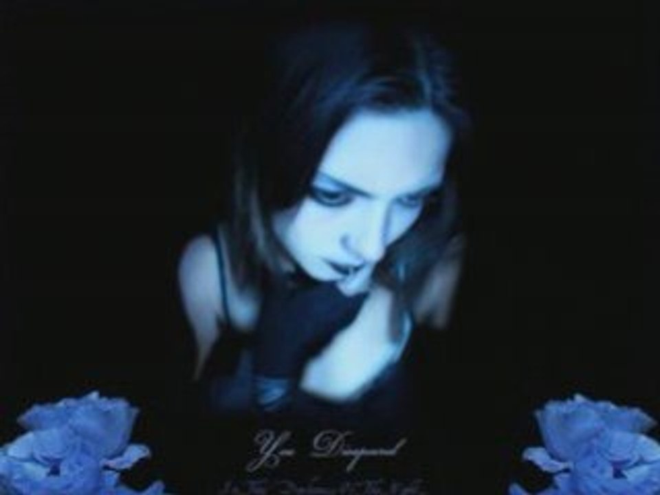 Saras Park Marcos Manzanedo Hier kommt die Nacht