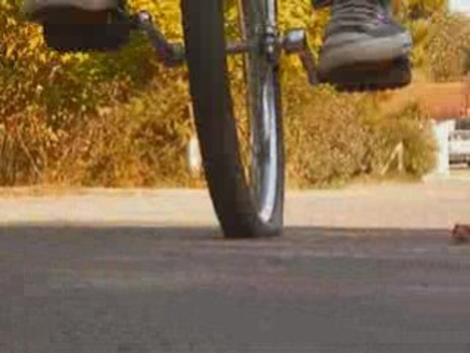 Saut morceau de bois