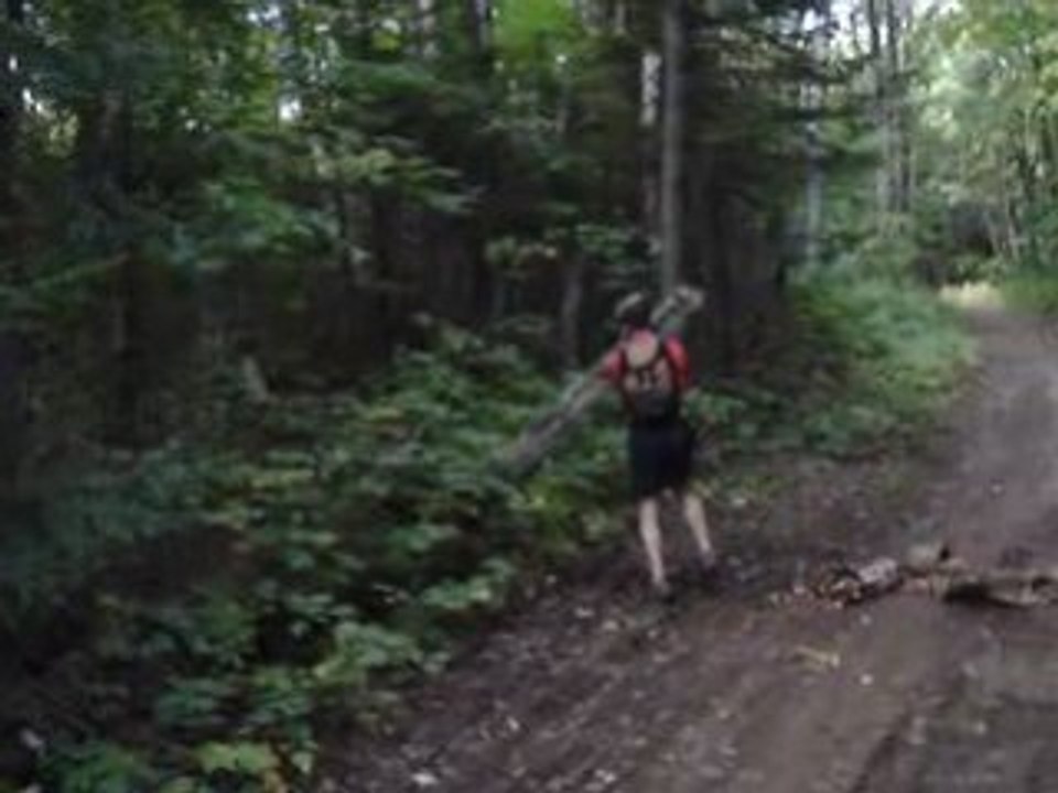 comment s'occuper en foret : Part I
