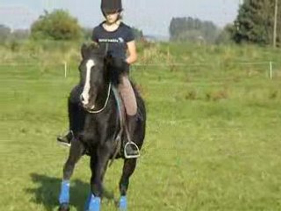 Fiona 27/09/08 cross cordelette