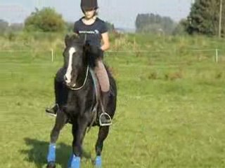 Fiona 27/09/08 cross cordelette