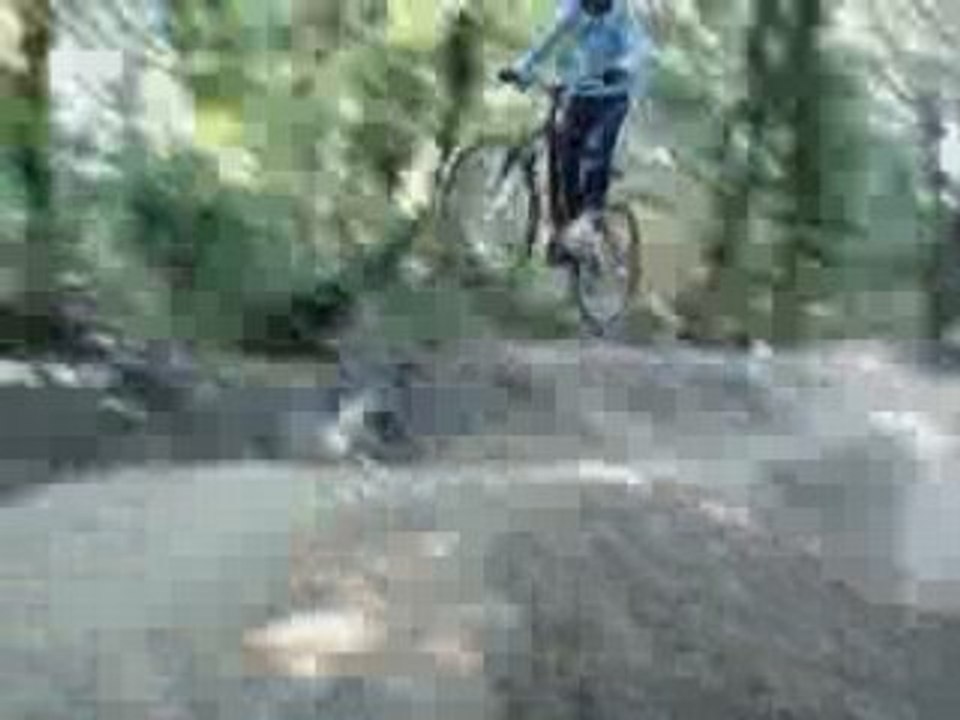 Session Dirt 34