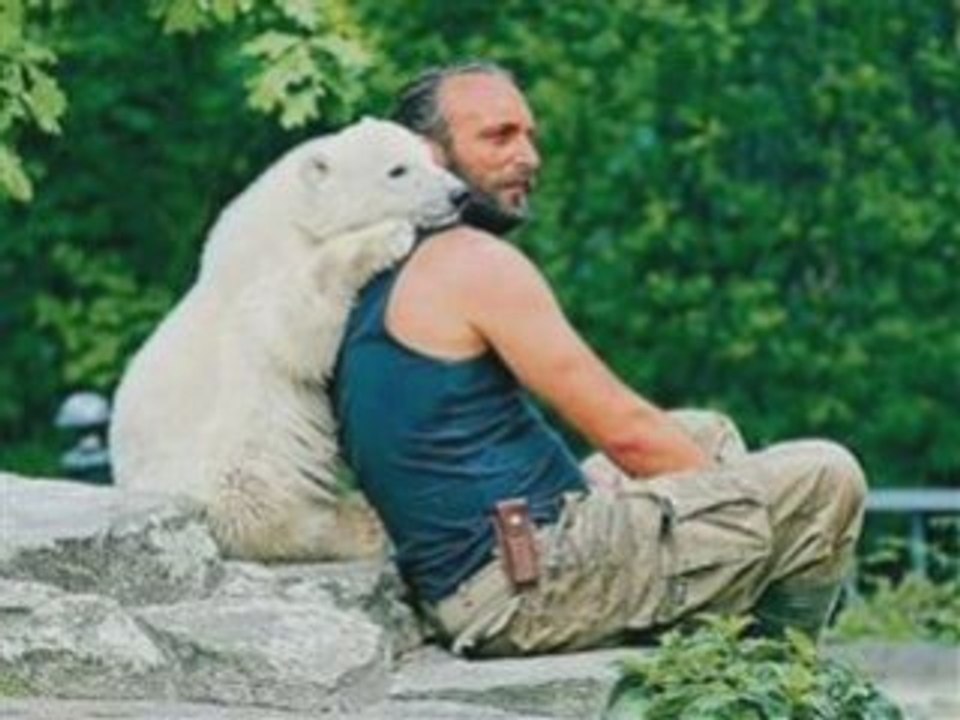 Thomas dörflein is dead. thomas dörflein ist tot. "knut"