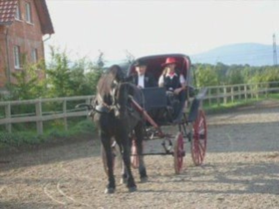 Journée Nationale du Cheval 2009 Ferme Fritsch