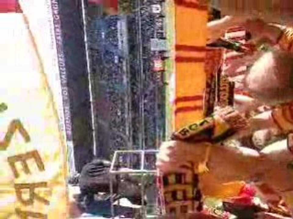 Rc Lens -SCO Angers 3-0 Tigers Marek !!! ULTRAS