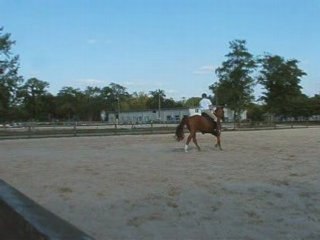 reprise de l'équitation après double fracture