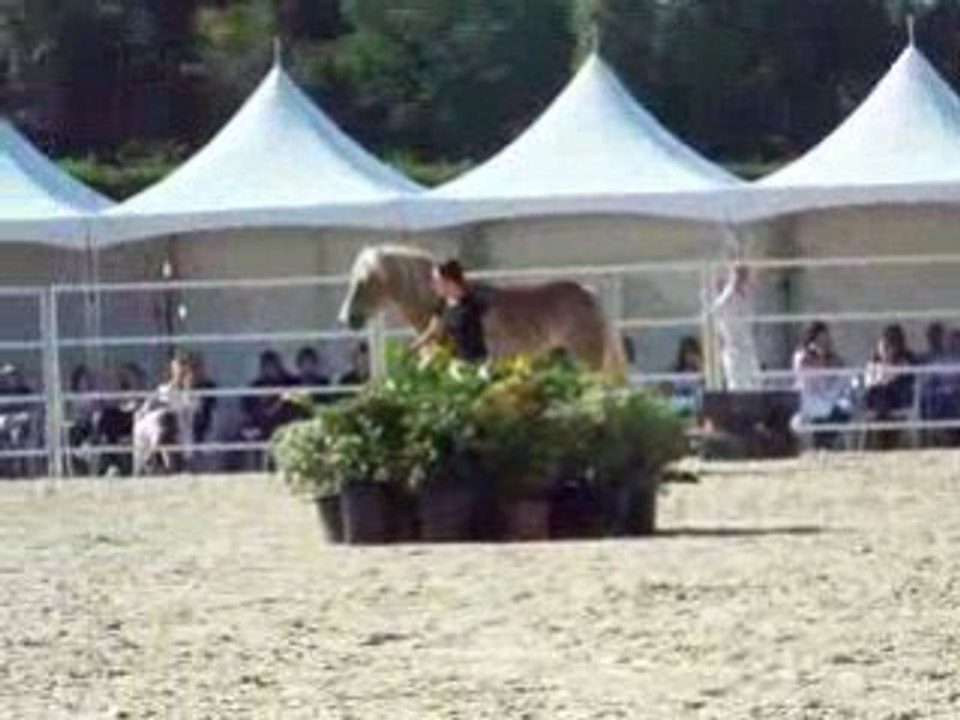 Pauline et Naïade aux RDV étho (Première partie)
