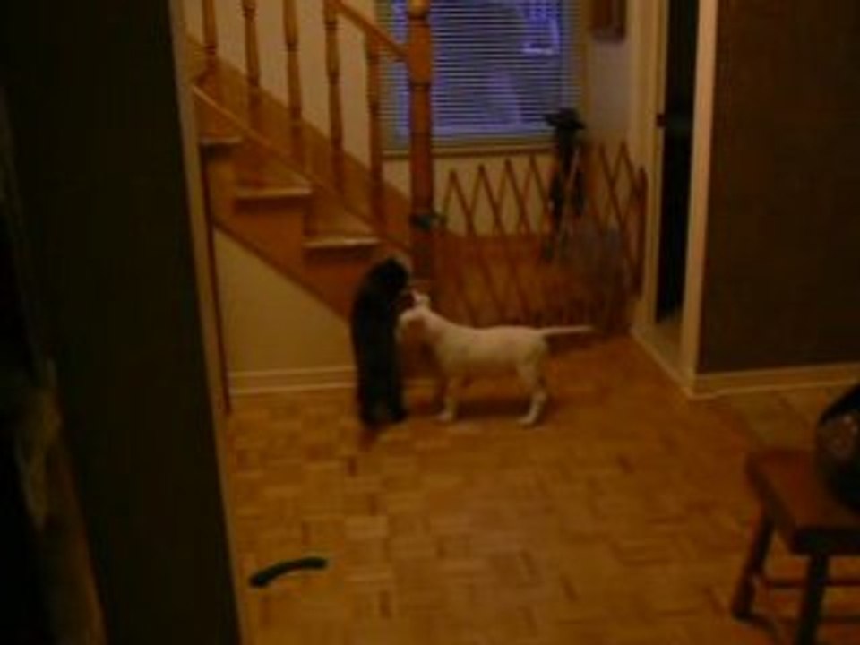 Thalia 2 mois et 2 semaines