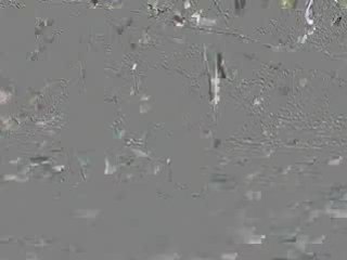 foto de famille koh samui 2008