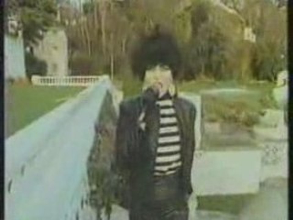 The Passenger-Siouxsie and The Banhees