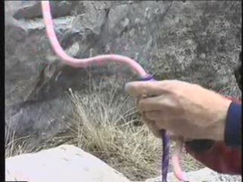 Crevasse rescue-Sequence 1-H.264 LAN