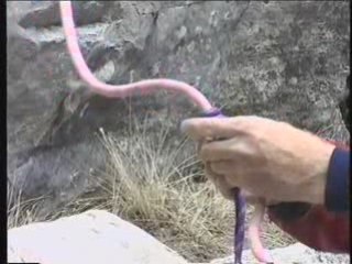 Crevasse rescue-Sequence 1-H.264 LAN