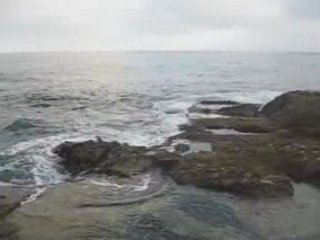 N20 Online Stock Trading Coach