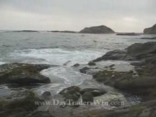 N21 Online Stock Trading Coach