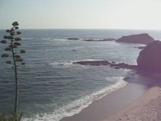 N23 Online Stock Trading Coach