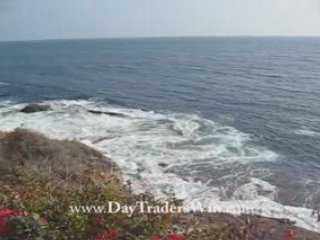 N25 Online Stock Trading Coach