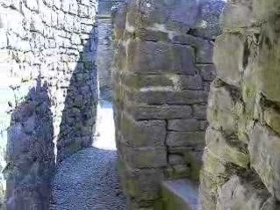 DSCN5987