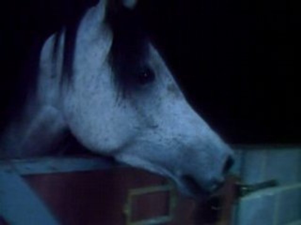 CLIP0052