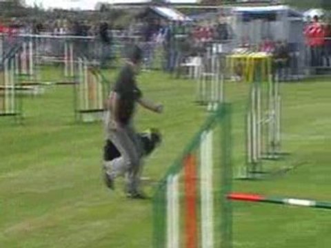 Agility belgique vidéooo (4)