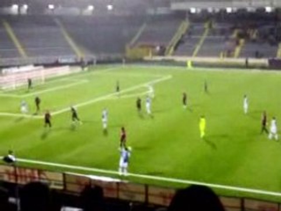 Ankarada melihe koymak