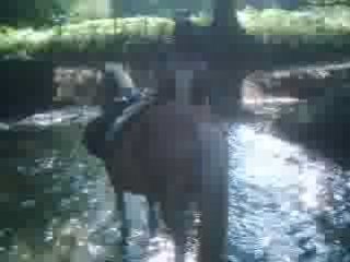 Traversée de rivière