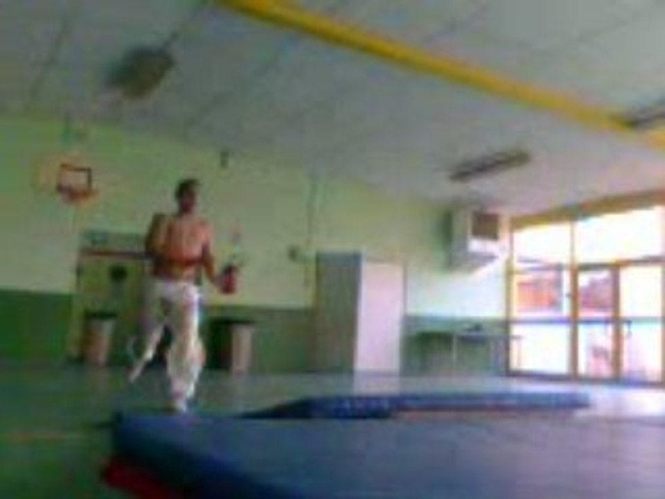 SALTO KUNG FU ARTS MARTIAUX