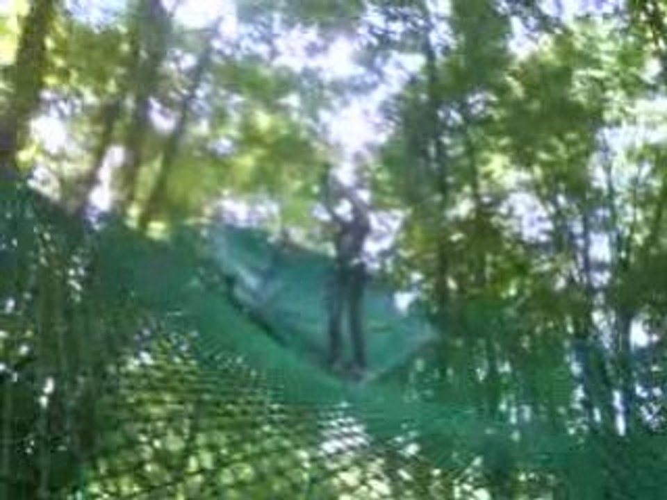 acrobranche avec elle <3