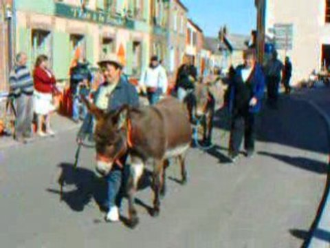 Fête aux Ânes 2008 à Chatillon en Dunois part.0022
