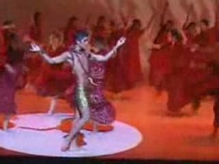 Spectacle Devdas 2008 Cannes