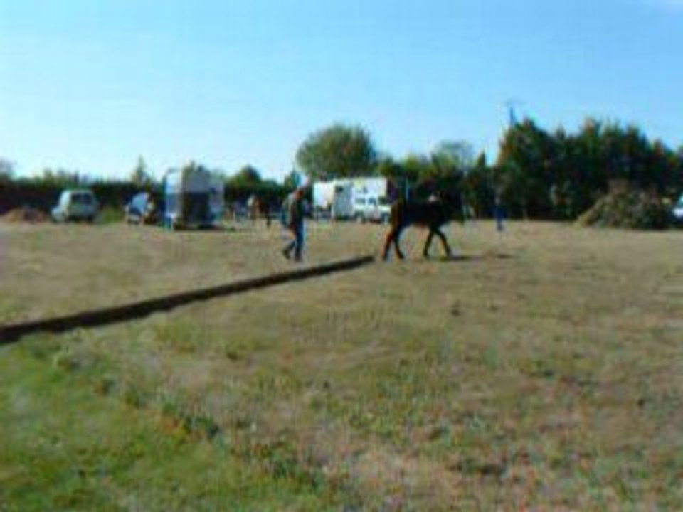 Fête aux Ânes 2008 à Chatillon en Dunois part.0034