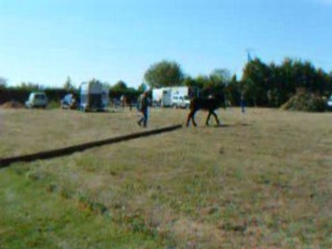 Fête aux Ânes 2008 à Chatillon en Dunois part.0034