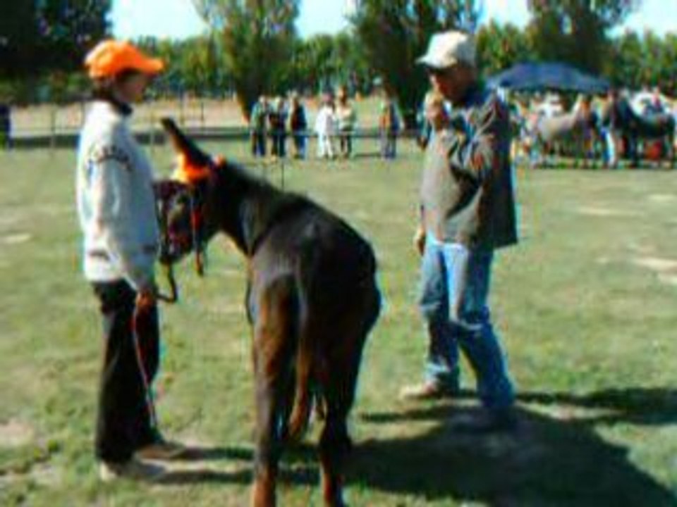 Fête aux Ânes 2008 à Chatillon en Dunois part.0141