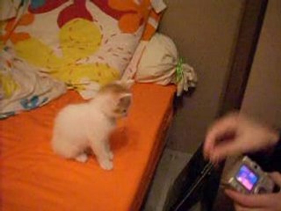 Sur le lit