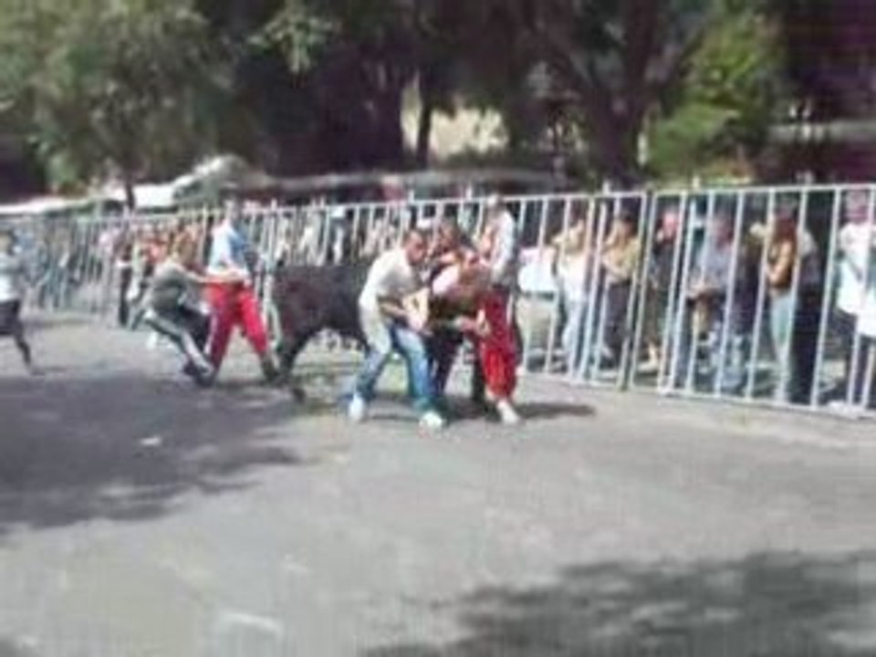 Abrivado Féria du riz 2008 à Arles