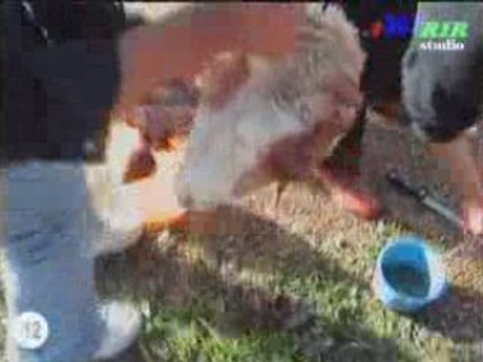Fête de l'Aïd à Tagouba