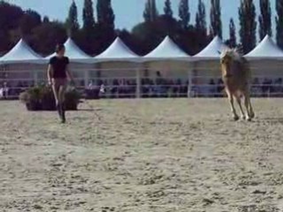 Pauline et Naïade aux RDV étho (3ème partie)